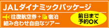�z�e���X�{�@JAL�_�C�i�~�b�N�p�b�P�[�W